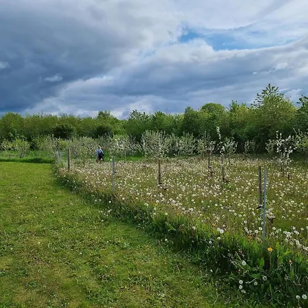 6 Person Holiday Home In Aabenraa